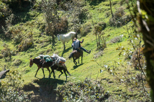 20240123T134701_1139