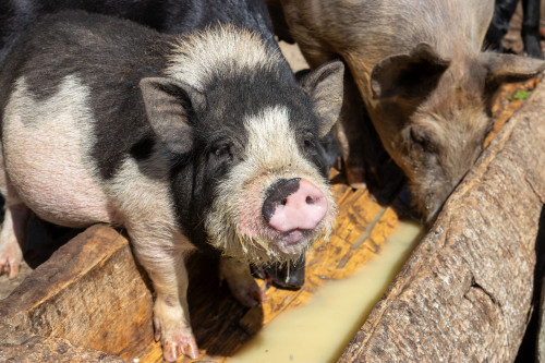 20240123T145416_0268