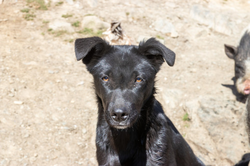 20240123T145431_0276