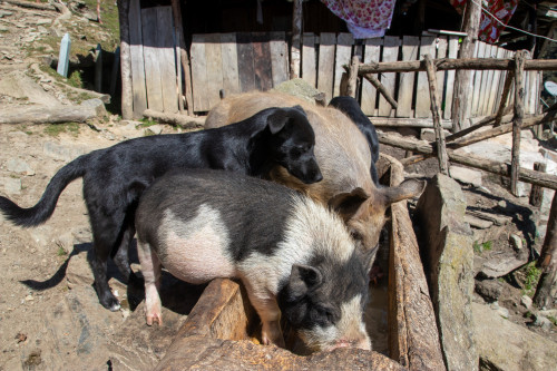 20240123T145519_0286