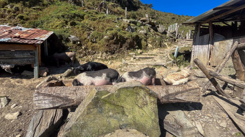 20240123T150420_0828