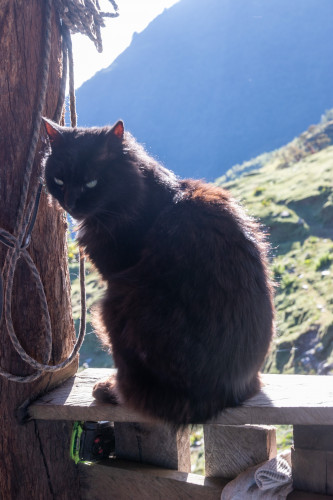 20240123T165449_0302