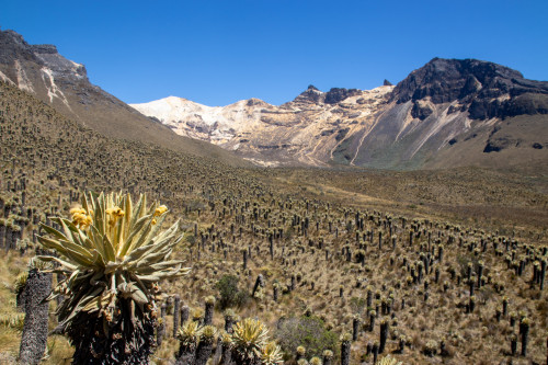 20240124T120134_0408