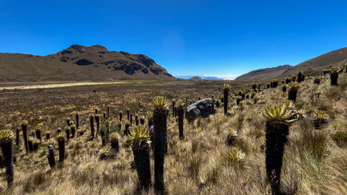 20240124T125055_0898