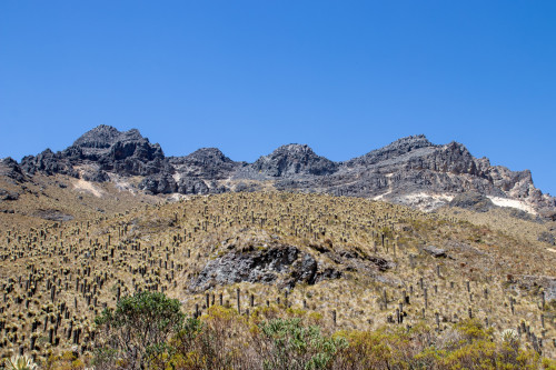 20240124T130356_0452