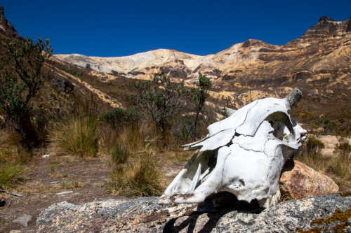 20240124T134404_0512