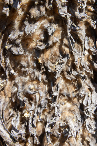 20240124T150330_0590