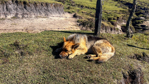 20240125T084229_1006