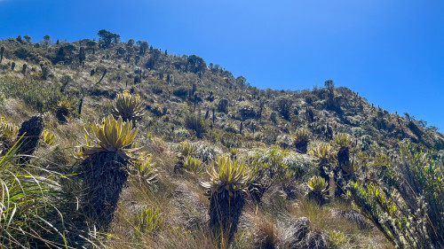 20240125T104146_1028