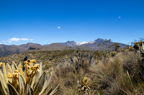 20240125T110435_0682