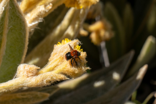 20240125T110703_1223