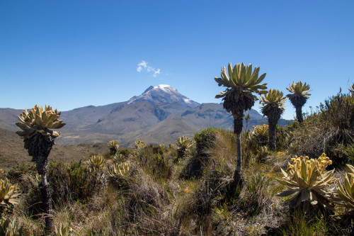 20240125T111705_0690