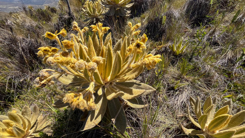 20240125T111803_1032