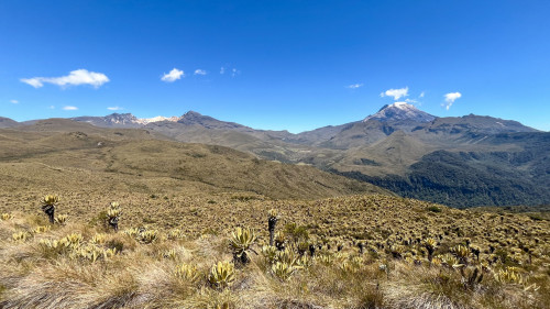 20240125T112727_1042