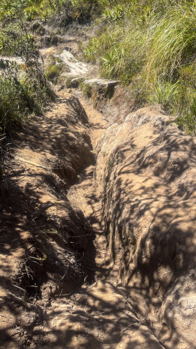 20240125T115457_1044