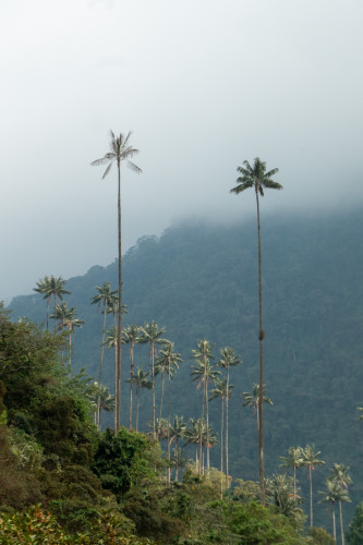 20240125T153851_1283