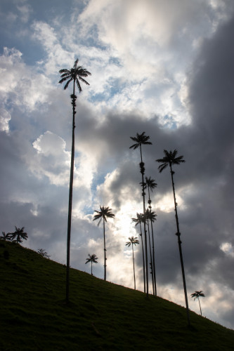 20240125T161442_0752