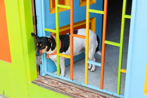 20240128T153515_0699