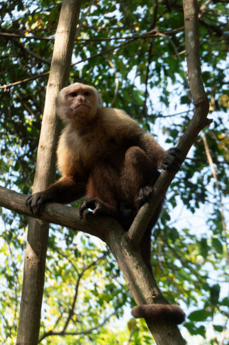 20240129T093159_0750