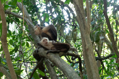 20240129T095647_0866