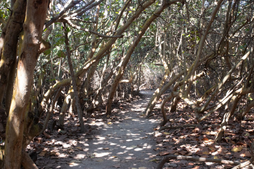 20240129T101150_0949