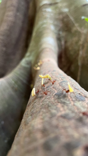 20240129T103632_0997