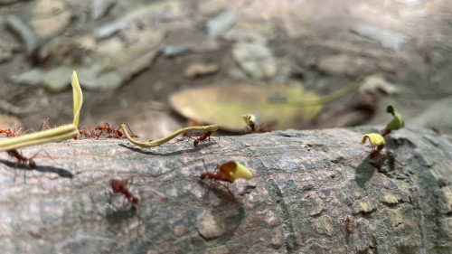 20240129T103648_1005