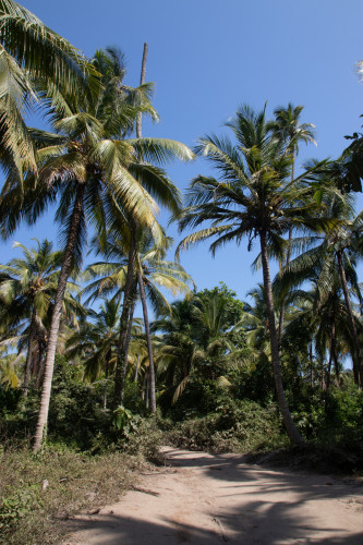 20240129T104841_1011