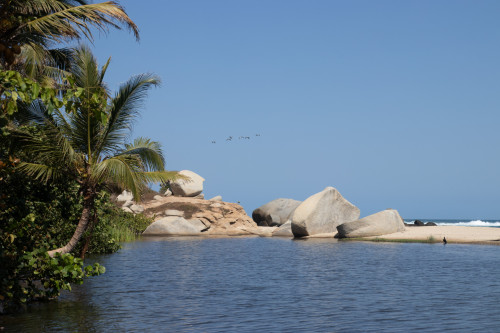 20240129T105524_1025