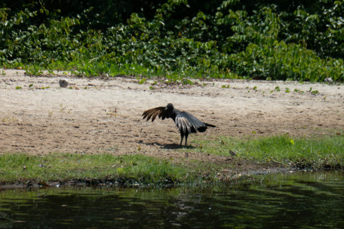 20240129T110019_1044