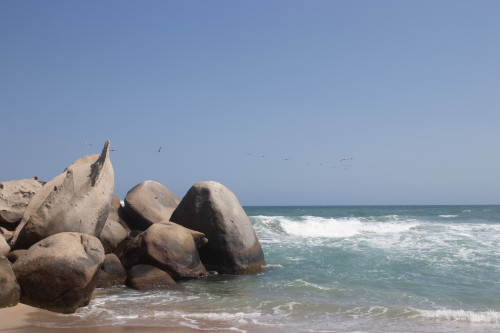 20240129T110849_1069