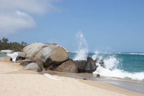 20240129T114416_1233