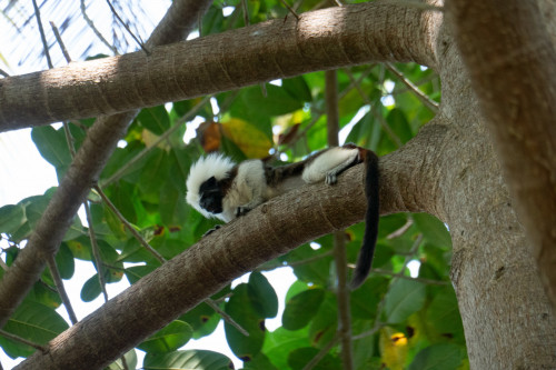 20240129T120036_1278