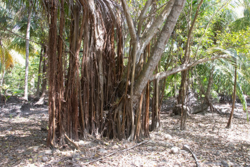 20240129T121814_1295