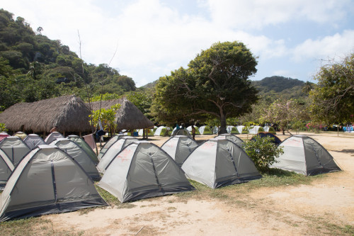 20240129T122548_1309