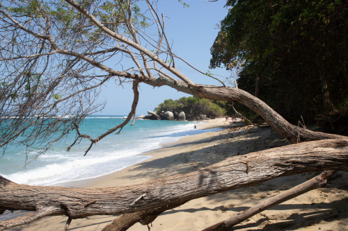 20240129T124239_1339