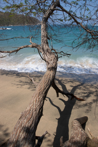 20240129T124435_1355