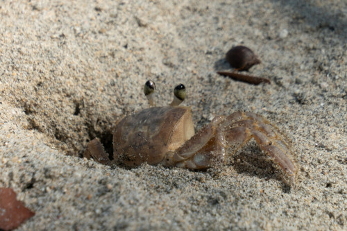 20240129T132323_1438