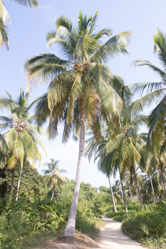 20240129T143454_1570