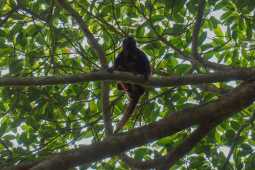 20240129T150410_1601