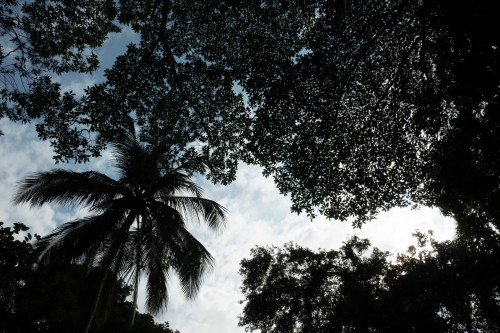 20240129T150435_1617