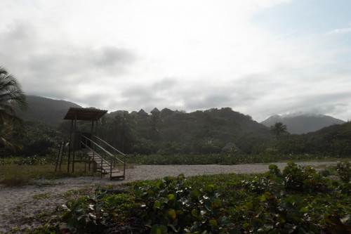 20240129T154836_1753