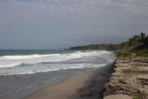 20240129T154936_1762