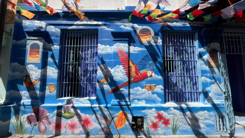 20240130T110605_2115