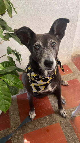 20240130T135212_2165