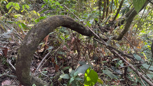 20240130T163845_2175