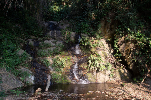 20240130T165435_2179