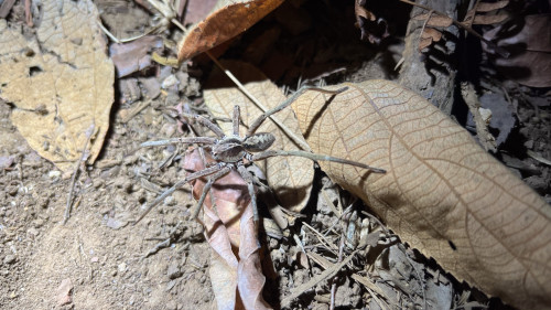 20240130T183147_2259