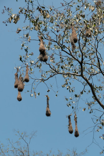 20240131T114237_2366