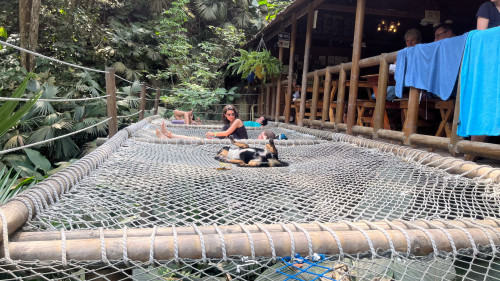 20240131T124327_2633